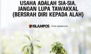 Doa Agar Usaha Kecil Cepat Berkembang dan Berkah