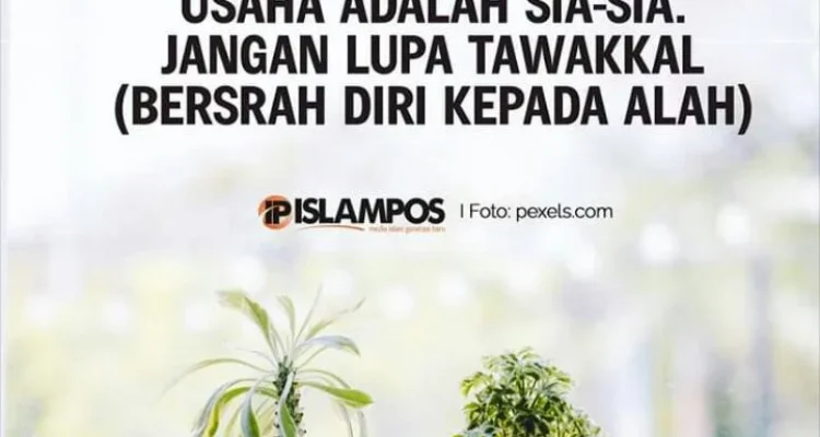 Doa Agar Usaha Maju dan Berkembang