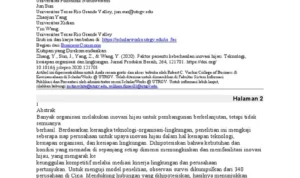 Faktor-Faktor Penentu Keberhasilan Sejarah Perkembangan Mobil Buatan Indonesia