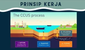 Inovasi Teknologi untuk Mengurangi Emisi CO2 Mobil Buatan Indonesia