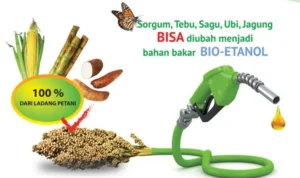 Mobil Buatan Indonesia Berbahan Bakar Biofuel: Kelebihan dan Kekurangan