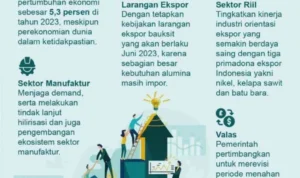 Strategi Pemerintah dalam Mendorong Pertumbuhan