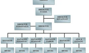 Struktur Organisasi dan Manajemen Jaringan Dealer Mobil Buatan Indonesia