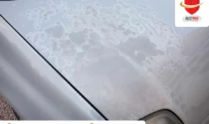 Bahaya uap air aki bagi cat bodi ruang mesin dan dampaknya pada penampilan mobil