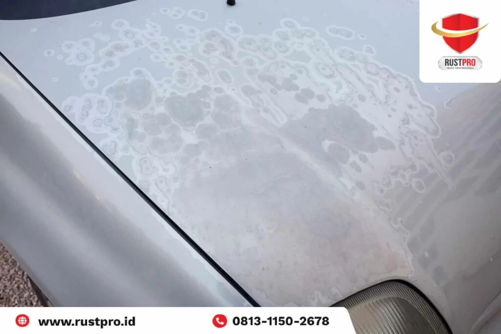 Bahaya uap air aki bagi cat bodi ruang mesin dan dampaknya pada penampilan mobil