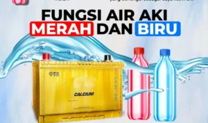Cara membedakan air aki merah (Zuur) dan air aki biru saat pemasangan: Pengetahuan dasar