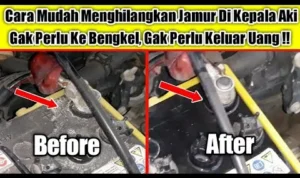 Cara membersihkan jamur putih pada kepala aki tanpa melepas kabel: Langkah‑Langkah Praktis