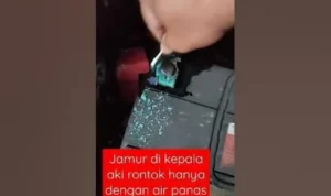 Cara membersihkan jamur putih pada kepala aki tanpa melepas kabel: Persiapan Alat dan Bahan