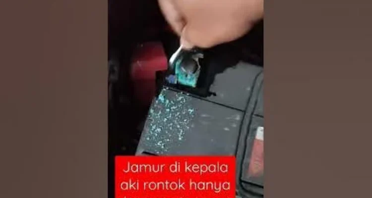 Cara membersihkan jamur putih pada kepala aki tanpa melepas kabel: Persiapan Alat dan Bahan