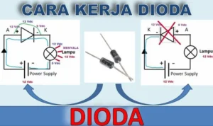 Cara Pasang Diode Protector Agar Kelistrikan Audio Tidak Feedback ke Aki: Langkah‑Langkah Dasar