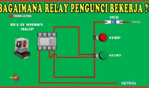 Cara pasang relay tambahan agar beban aki tidak berat saat starter: Penempatan Relay