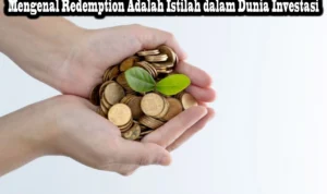 Doa Dhuha Agar Investor Percaya: Mengapa Penting dalam Dunia Investasi