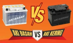 Faktor-Faktor Penentu dalam Memilih Antara Aki Kering Gel dan AGM untuk Audio SQ