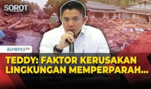 Faktor lingkungan yang memperparah percikan