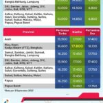 harga-bbm-pertamina-per-hari-ini-Your-Daily