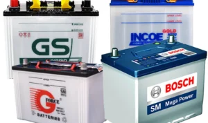 Jenis aki yang paling sering dicari di Jakarta Timur