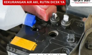 Kerugian Pasang Aki Basah Jika Jarang Dicek: Dampak Pada Kendaraan