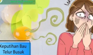 Langkah lanjutan dalam Cara mengatasi bau telur busuk dari aki yang baru dipasang