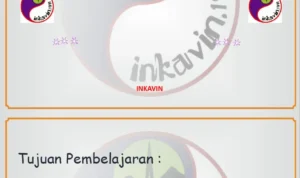 Pemeriksaan dan perawatan pasca pemasangan