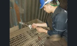 Pengecekan dan Pengujian setelah pemasangan