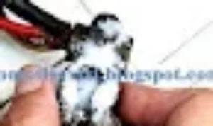 Penyebab utama kerak putih dan cara pencegahannya