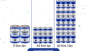 Perbedaan utama antara Panasonic Blue Battery dan Panasonic Silver