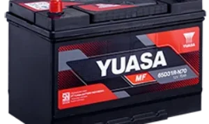 Perbedaan Utama antara Yuasa Maintenance Free dan Pafecta