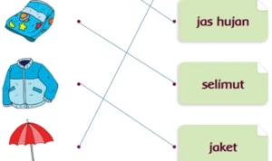 Perlengkapan penting untuk melindungi aki dari air hujan