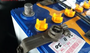 Tips merawat terminal aki agar tidak berjamur selamanya: Langkah‑langkah dasar